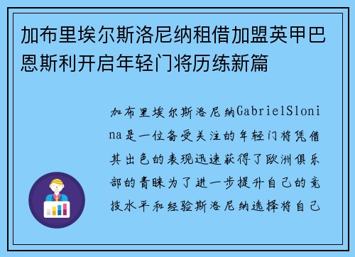 加布里埃尔斯洛尼纳租借加盟英甲巴恩斯利开启年轻门将历练新篇